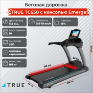 Беговая дорожка TRUE TC650 c консолью Emerge