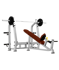 Скамья для жима с положительным наклоном BRONZE GYM J-025